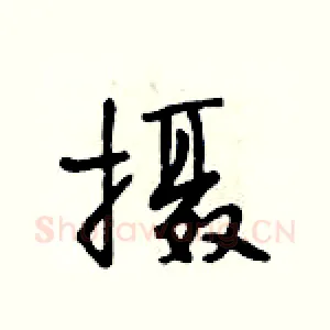 摄