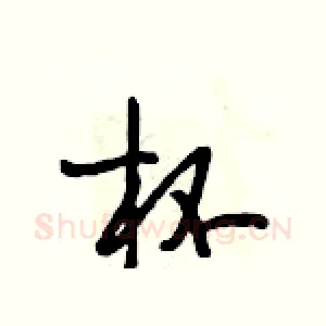 杯
