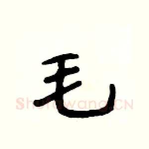 毛