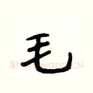 毛
