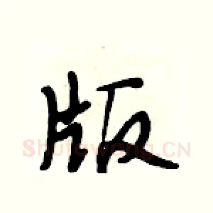 版