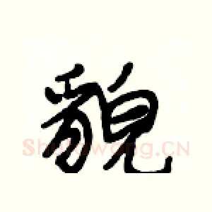 貌