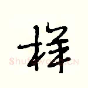 样