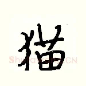 猫