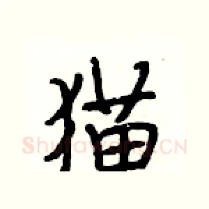 猫