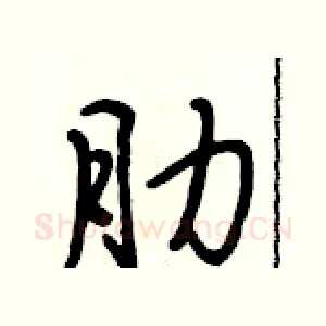 肋