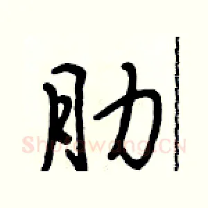 肋