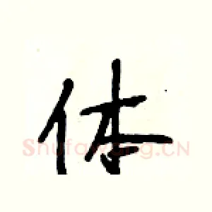 体