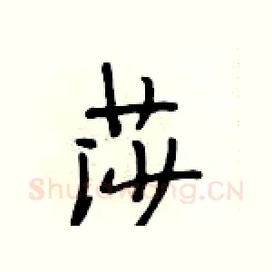 莎