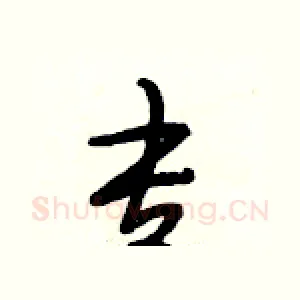 专