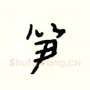 笋