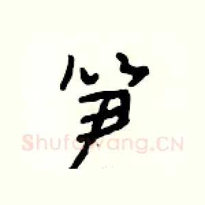 笋