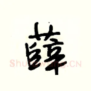薛