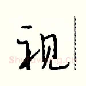 视