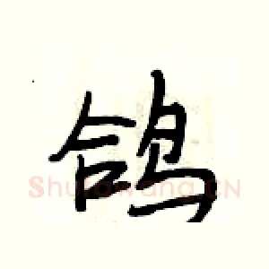 鸽
