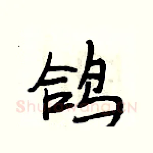鸽