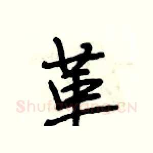革