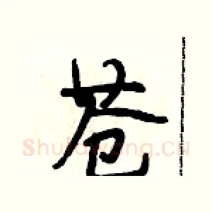苍
