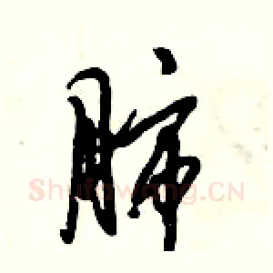 肺