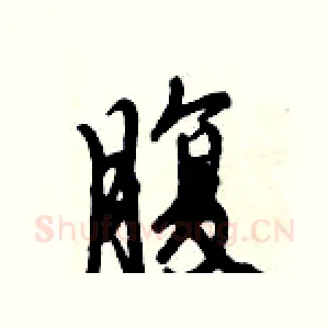 腹