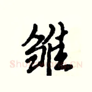 雏