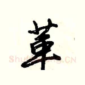 革