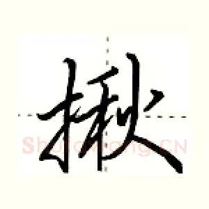 揪