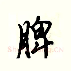 脾
