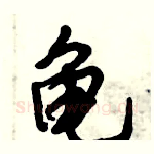龟