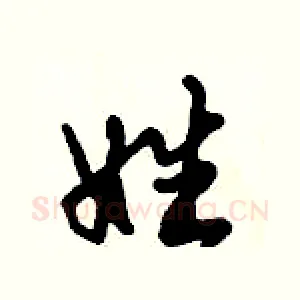 姓