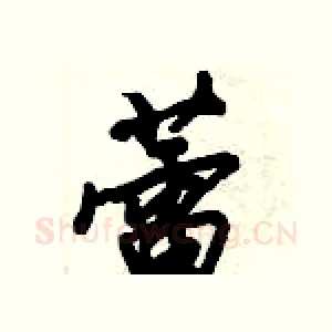 蕾