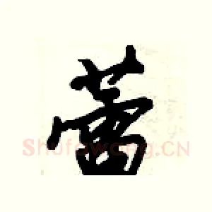 蕾