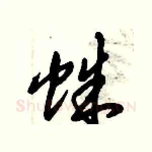 蛛