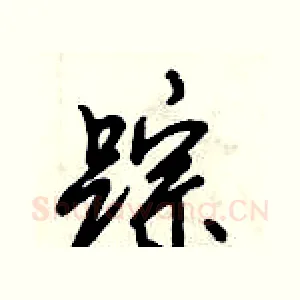 踪