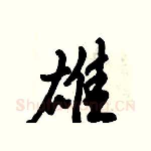 雄