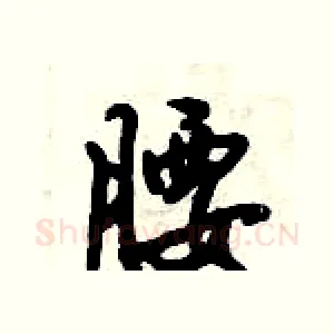 腰