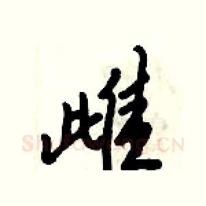 雌