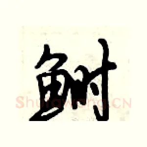 鲥