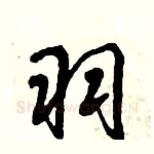羽