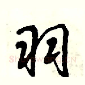 羽