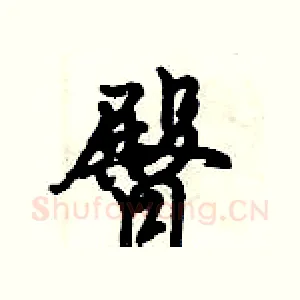 臀