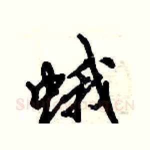 蛾