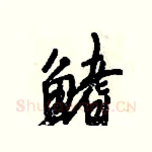 鳍