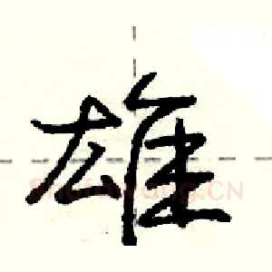 雄