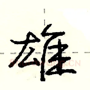 雄