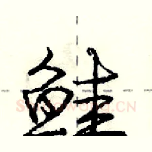鲑