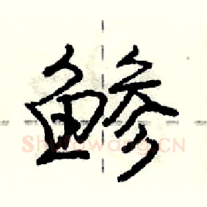 鲹