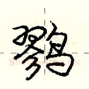 鹨