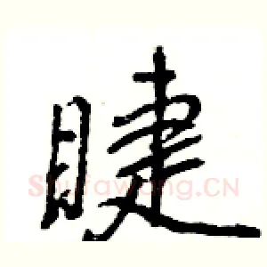 睫
