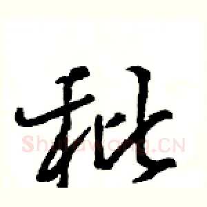 秕